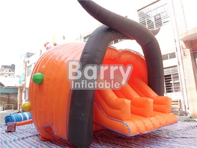 Factory Price Conch Inflatable Water Slides That Go Into A Pool BY-WS-094